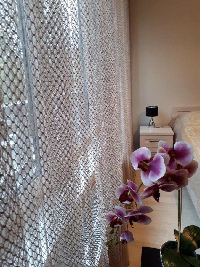 Vena Apartment Wrocław Kültér fotó